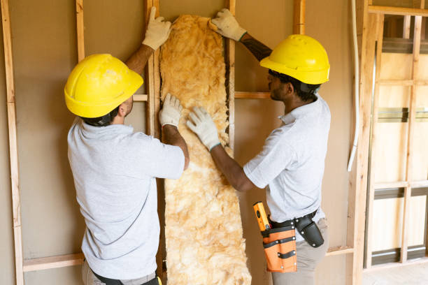 Best Insulation for New Construction  in Thomasville, NC